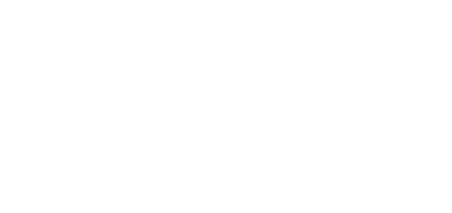 Demir Global Logo